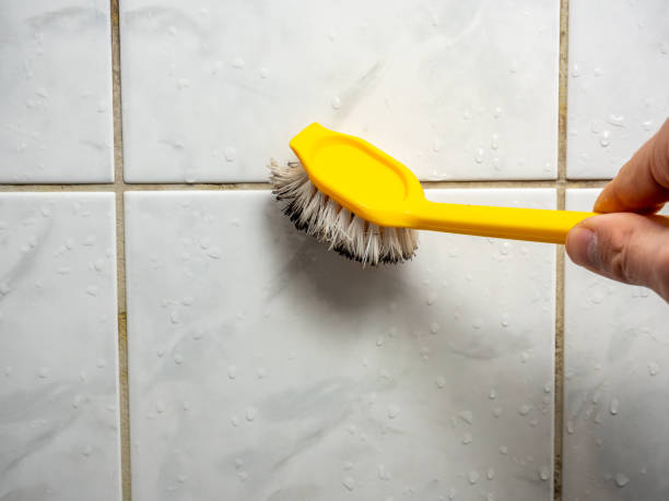 Best Mold Removal Process  in Rolesville, NC