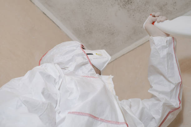  Rolesville, NC Mold Removal Pros