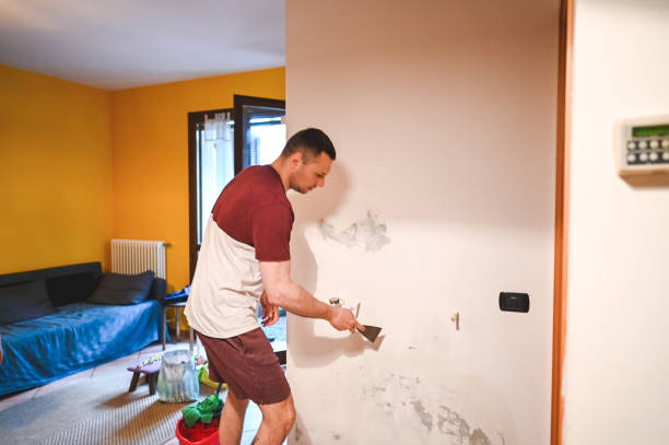 Best Residential Mold Removal  in Rolesville, NC