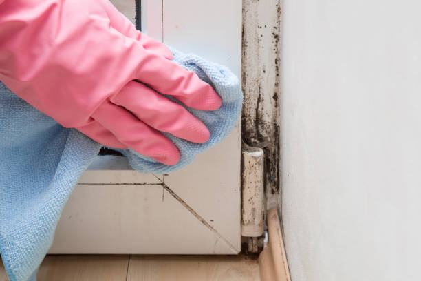 Water Damage Restoration in Rolesville, NC